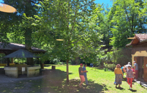 6841c26e02862_cestas1.PNG