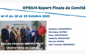 finale de COMITE OPEN/4 Expert