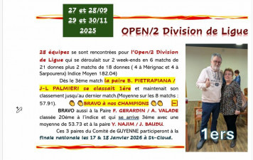 Division de LIGUE OPEN/2