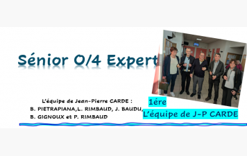 Finale de comité SENIOR OPEN/4 EXPERT