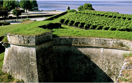 FESTIVAL DE BLAYE 2022