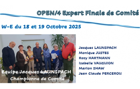 finale de COMITE OPEN/4 Expert