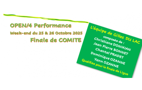 finale de comité &quot;OPEN/4 Performance&quot;