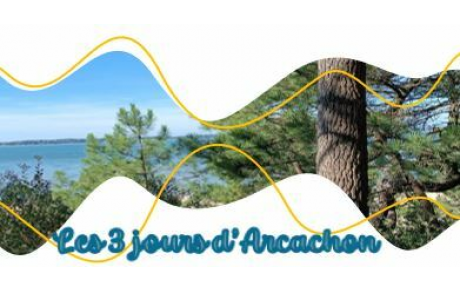 Retour Festival des 3 jours d'Arcachon