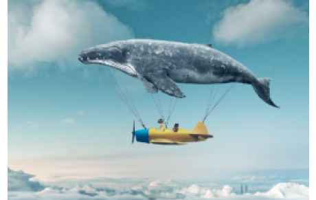 lettre du littoral 15 novembre 2025