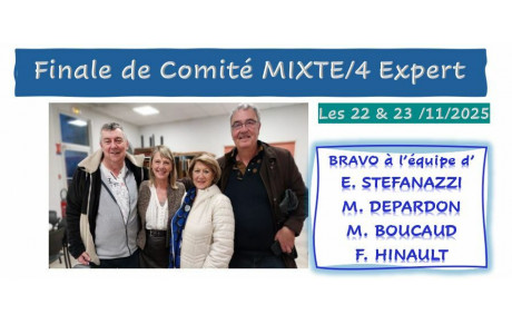 Finale de COMITE MIXTE/4 Expert le week-end du 22 &amp; 23 Novembre 2025