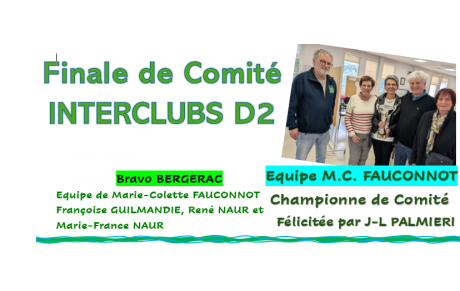 Finale de Comité INTERCLUBS D2