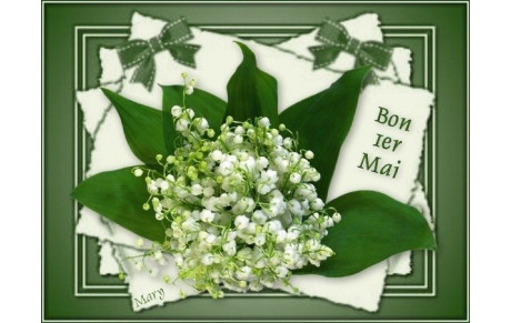 1er mai 2026
