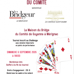 TOURNOI de la RENTREE du comité le dimanche 06/09/26